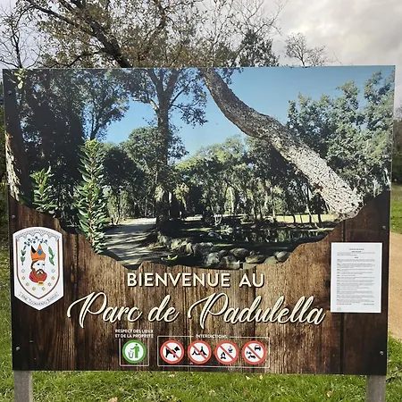 Moriani G1 公寓 圣尼科劳